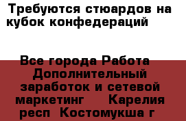 Требуются стюардов на кубок конфедерацийFIFA. - Все города Работа » Дополнительный заработок и сетевой маркетинг   . Карелия респ.,Костомукша г.